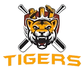 download 1 removebg preview